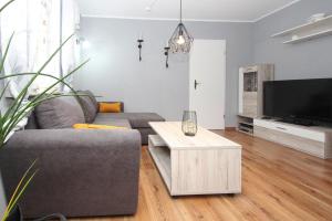 马尔肖Apartment, Malchow的客厅配有灰色的沙发和电视