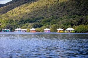Port RoyalMango Creek Lodge的湖岸上的一群小屋