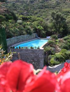 蓬扎Maridea - La Caletta - Luxury Villa的花园中的游泳池,花园中种有红花
