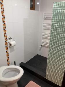 穆恩特勒白索利Cabana Ruku的一间带卫生间和玻璃淋浴间的浴室