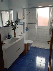 坎巴多斯Casa Pepa的一间带水槽、卫生间和淋浴的浴室