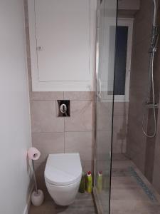 欧龙Studio 4 couchages的一间带卫生间和淋浴的小浴室