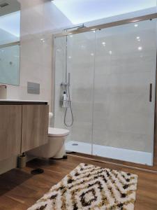 波尔图Trindade Apartments的带淋浴和卫生间的浴室以及地毯。