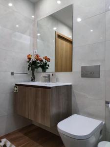 波尔图Trindade Apartments的一间带水槽、卫生间和镜子的浴室