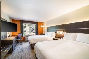 卡斯特Holiday Inn Express & Suites Custer-Mt Rushmore的酒店客房设有两张床和一台平面电视。