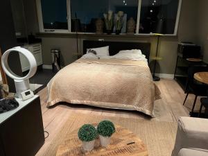 海滨诺德韦克马丁一室公寓民宿的卧室配有一张床,地板上种植了两株盆栽植物