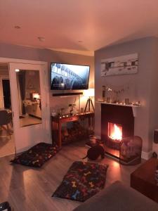 阿瑟斯敦Ballyhack by the Sea的客厅设有壁炉和平面电视。