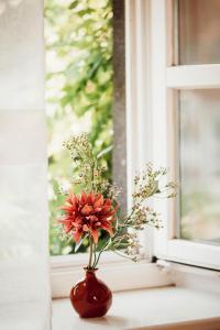 迪布利希Landhaus Halferschenke的窗台上装有鲜花的红色花瓶