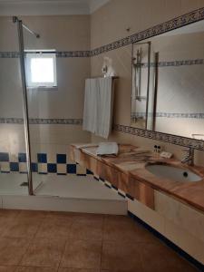 奥迪韦拉什Hotel O Gato - Edificio Standard的一间带水槽和淋浴的浴室