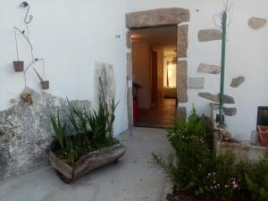 马尔旺TerraFazBem的门廊,有门和一些植物