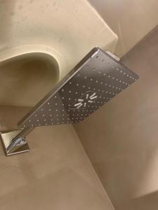 拉罗什-阿登Les Tanneries的带有聚氯乙烯圆点的金属物体附在厕所上