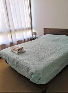 卡拉马2 Torres Calama的一间卧室配有一张带毯子的床和窗户