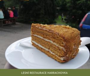 塔博尔Lesní Restaurace Harrachovka的相册照片