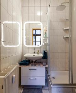 奥尔巴赫Kerkermeister Pension的一间带水槽、镜子和淋浴的浴室
