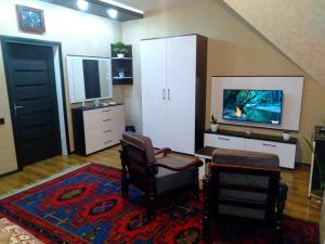库萨雷Dom Semya Deluxe Gusar的客厅配有两把椅子和电视