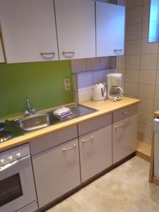 阿亨湖Tischlerhof的厨房配有水槽和台面