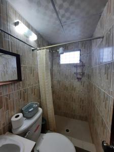 钱吉诺拉Apartamento Cacao Changuinola的浴室配有卫生间、淋浴和盥洗盆。