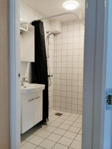 比伦德300meter walk to LEGO house - 70m2 apartment with garden的带淋浴和盥洗盆的浴室