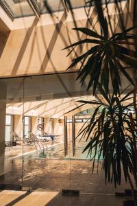 萨克德佐尔镇Teghenis Resort的一座带玻璃窗的建筑中的棕榈树