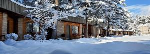 鲁伊多索West Winds Lodge的一座被雪覆盖的建筑,前面有树木