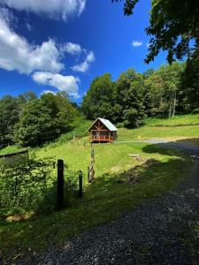 WhitetopCozy Cabin Near Grayson Highlands State Park的草木小山上的小小屋,设有围栏