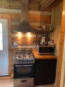 WhitetopCozy Cabin Near Grayson Highlands State Park的厨房配有炉灶和微波炉。