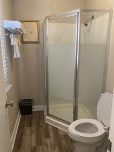 芒特艾里Andy Griffith Parkway Inn的浴室配有淋浴间和卫生间。