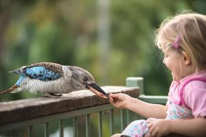 耐莉湾曼德勒阿马鲁度假村的 ⁇ 上喂鸟的小女孩