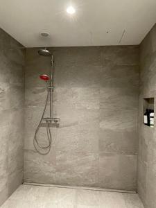克伦威尔Pisa House Lakefront Boutique B&B的带淋浴的浴室,浴室设有灰色的墙壁