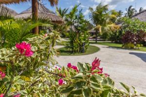 艾湄湾Emocean Beach Boutique Dive Resort的一条穿过带粉红色花卉的度假村的小径