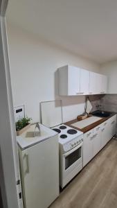 莱斯科瓦茨Apartman Pavlovic的厨房配有白色橱柜和炉灶烤箱。