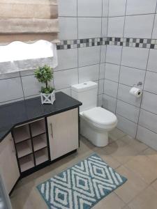 比勒陀利亚Genie's Nest Ooie 3的浴室设有卫生间和地毯水槽。