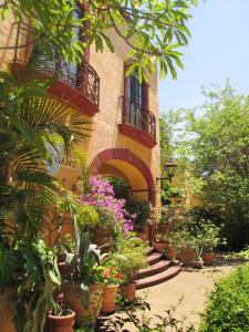 瓜达拉哈拉甘兹别墅精品酒店 的前面有一堆盆栽植物的建筑