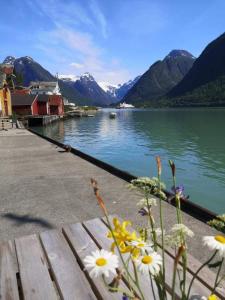 松达尔Sogndal ski- and mountain cabin的享有山脉的水域景致