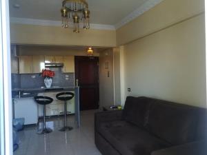 阿斯旺阿斯旺菲莱酒店的带沙发的客厅和厨房