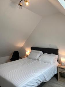 Baguer-Picanamandine的一间卧室配有一张带白色床单和两盏灯的床。