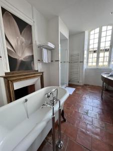 米雷普瓦Chambres d'hôtes Relais Mira Peis的带浴缸的浴室和墙上的大画