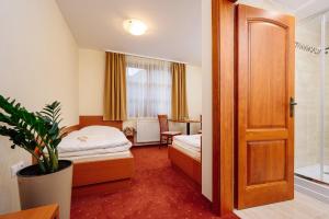 OmšeniePenzión Pod Babou的酒店客房设有一间带一张床和一扇门的卧室