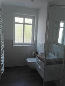 巴贝Traumferienwohnung Ostseebad Baabe - Rügen的一间带卫生间、水槽和窗户的浴室