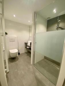 洪德洛布腾拉斯特酒店的一间带卫生间和玻璃淋浴间的浴室