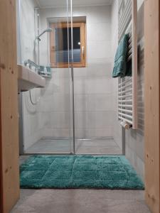 内维尔格拉滕Walcheggerhof的带淋浴的浴室和绿色地毯。