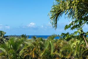 拉罗汤加穆里度假公寓的从棕榈树上欣赏海滩美景