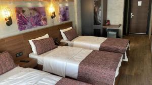 伊斯坦布尔Elibol Hotel Old City的一间酒店客房,房间内设有三张床