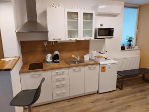 采列Apartments Alexandra的小厨房配有白色橱柜和水槽