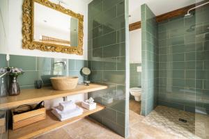 Les Molières阿姆诺农场住宿加早餐旅馆的浴室铺有绿色瓷砖,配有镜子