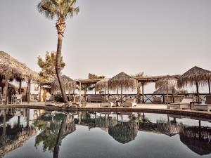 拉加纳斯格里亚马里斯酒店套房及别墅的棕榈树和游泳池的度假村