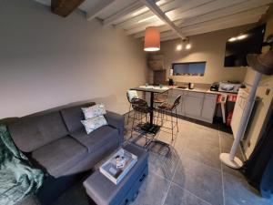 莫塞勒Natuurschoon Vakantiewoning Moorsel的带沙发的客厅和厨房