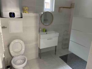 圣但尼WIFI - PARKING - SUPERBE T3 SPACIEUX ET MODERNE!!!!的一间带卫生间、水槽和镜子的浴室