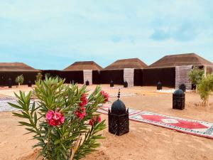 梅尔祖卡Sahara wellness camp的前面一排种满鲜花的小屋