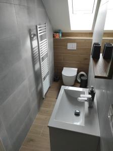 弗林布尔克Apartmán Frymburk 700的浴室配有白色水槽和卫生间。